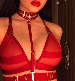 Honey Birdette SAMANTHA❤️ Red & Gold Bralette Small